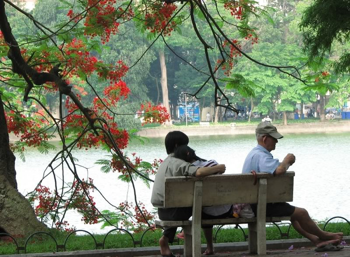 Cảnh không hiếm gặp ở bờ hồ Hoàn Kiếm Cảnh không hiếm gặp ở bờ hồ Hoàn Kiếm