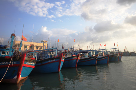 ảnh minh họa (nguồn: internet) ảnh minh họa (nguồn: internet)