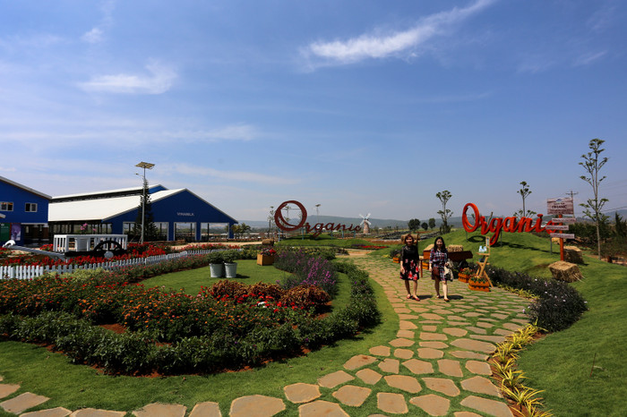 Thấy gì từ trang trại bò sữa Organic đầu tiên tại Việt Nam? ảnh 4 Thấy gì từ trang trại bò sữa Organic đầu tiên tại Việt Nam? ảnh 4