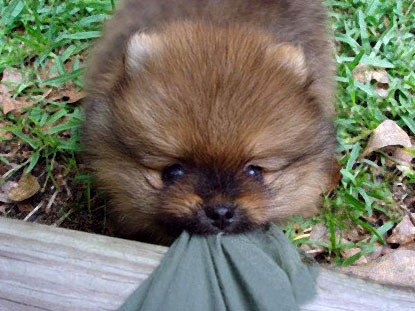 Cô nàng phơi nắng khỏa thân Kéo cho miếng vải che phần sexy Cô nàng phơi nắng khỏa thân Kéo cho miếng vải che phần sexy