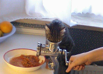 Nếu tay chị cứ quay quay Mặt em chắc chắn bị xay nát nhừ Nếu tay chị cứ quay quay Mặt em chắc chắn bị xay nát nhừ