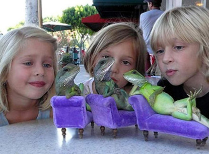 Ê ê ai bảo thằn lằn Là không biết mốt hãy nhìn xem đây Ê ê ai bảo thằn lằn Là không biết mốt hãy nhìn xem đây