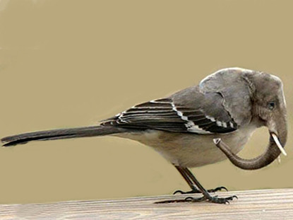 Lá cây mình chẳng thiết xơi Thèm sâu nhưng bắt ... trời ơi thế nào Lá cây mình chẳng thiết xơi Thèm sâu nhưng bắt ... trời ơi thế nào