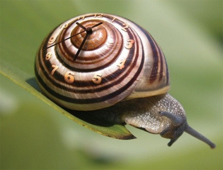 Bao năm giờ giấc như din Big Ben cũng chẳng xì tin bằng mình Bao năm giờ giấc như din Big Ben cũng chẳng xì tin bằng mình