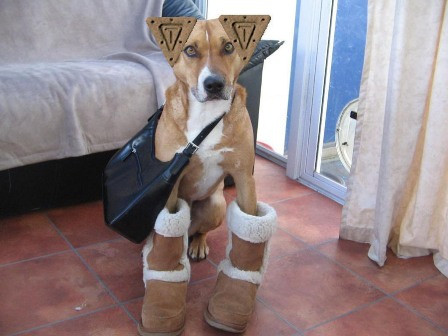 Mới mua đôi bốt cổ lông Mà mua nhầm cỡ nên trông xấu òm Mới mua đôi bốt cổ lông Mà mua nhầm cỡ nên trông xấu òm