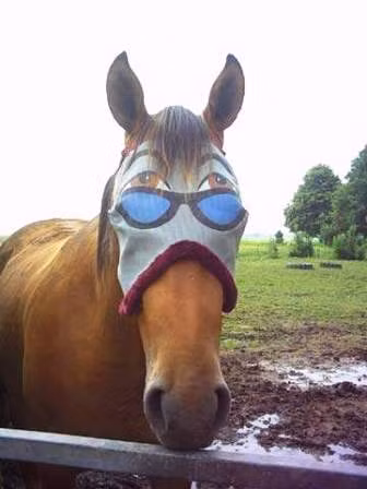 Hôm này hò hẹn lần đầu Mặc chi cho nó ngầu ngầu chút đây