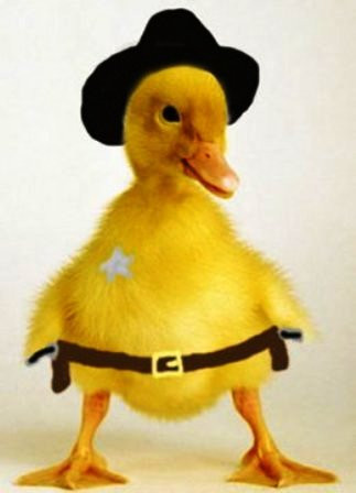 Ra ao phải thật bảnh bao Nhỡ em nào thấy còn chào một câu Ra ao phải thật bảnh bao Nhỡ em nào thấy còn chào một câu