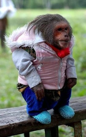 Hôm qua quần áo ướt nhèm Mượn tạm cái áo của em mặc vào Hôm qua quần áo ướt nhèm Mượn tạm cái áo của em mặc vào