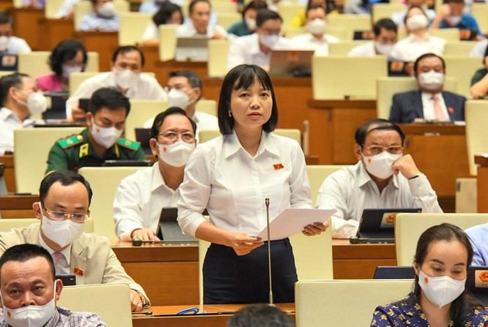 Đại biểu Nguyễn Thị Việt Nga - Đoàn đại biểu Quốc hội tỉnh Hải Dương cho hay cử tri Hải Dương (ảnh: quochoi.vn)