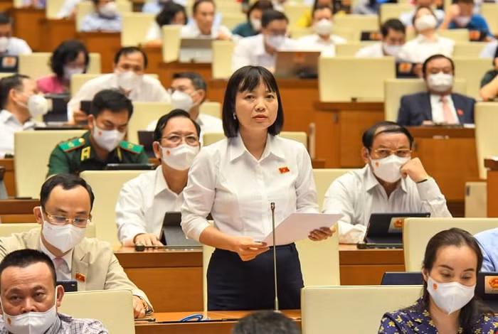 Đại biểu Nguyễn Thị Việt Nga - Đoàn đại biểu Quốc hội tỉnh Hải Dương cho hay cử tri Hải Dương (ảnh: quochoi.vn)