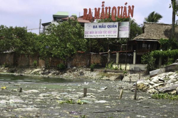 Tại hồ Ba Mẫu, nhiều hộ dân còn thản nhiên quây hàng rào để chăn nuôi gà, vịt ngay trên mặt hồ, bất chấp quy định cấm. Riêng nhà hàng mang tên Ba Mẫu Quán còn chiếm dụng một khuôn viên rộng lớn, át cả một bậc lên xuống khiến người dân không thể đi vào khu vực này. Nhiều nhà hàng và hộ dân thản nhiên lấn chiếm không gian hồ là nguyên nhân chính dẫn đến tình trạng ô nhiễm tại hồ Ba Mẫu, Q. Đống Đa. Tại hồ Ba Mẫu, nhiều hộ dân còn thản nhiên quây hàng rào để chăn nuôi gà, vịt ngay trên mặt hồ, bất chấp quy định cấm. Riêng nhà hàng mang tên Ba Mẫu Quán còn chiếm dụng một khuôn viên rộng lớn, át cả một bậc lên xuống khiến người dân không thể đi vào khu vực này. Nhiều nhà hàng và hộ dân thản nhiên lấn chiếm không gian hồ là nguyên nhân chính dẫn đến tình trạng ô nhiễm tại hồ Ba Mẫu, Q. Đống Đa.