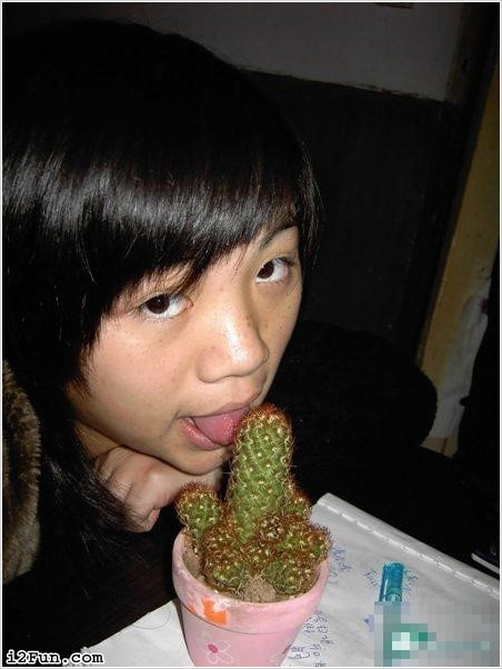 Xương rồng ngon quá! Xương rồng ngon quá!