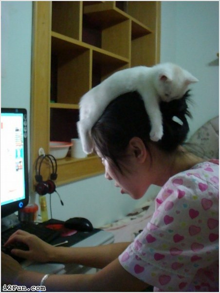 Rất yêu động vật Rất yêu động vật