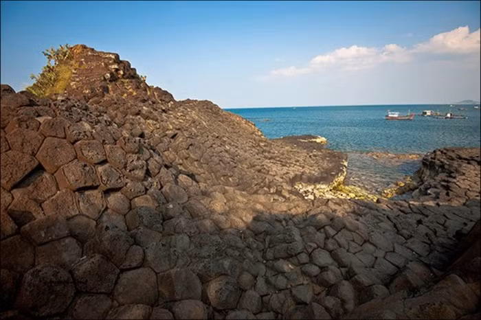 Như một chú cá sấu no nê....