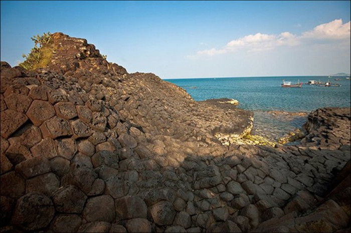 Như một chú cá sấu no nê.... Như một chú cá sấu no nê....