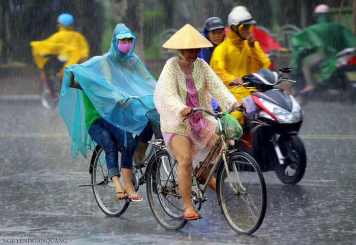 Đạp vội...đối ngược của cuộc sống: xe máy - xe đạp Đạp vội...đối ngược của cuộc sống: xe máy - xe đạp