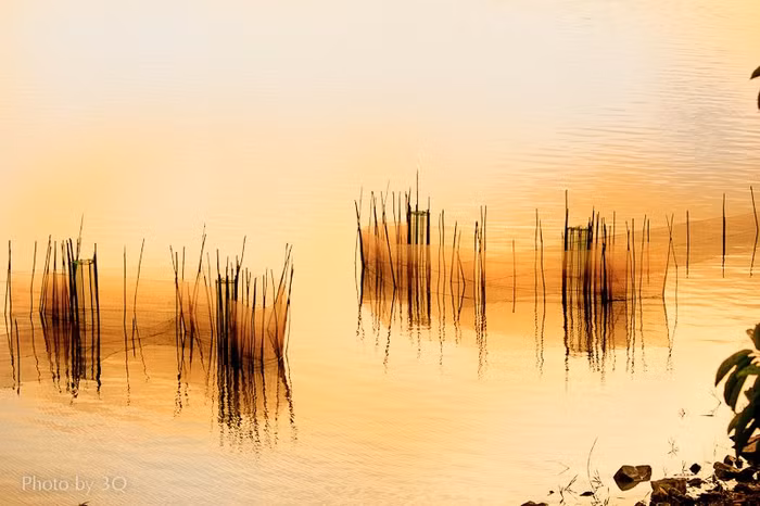 Khung cảnh hài hòa, đẹp mắt được ghi lại thật ấn tượng.