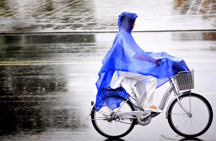 Hình ảnh quen thuộc và bình dị