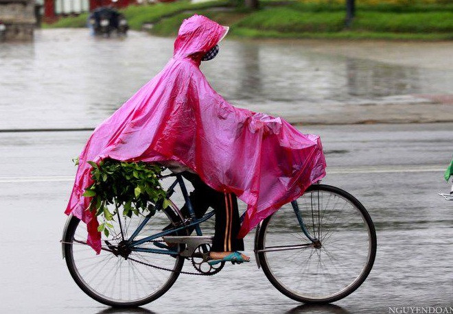 Đi chợ về... Đi chợ về...