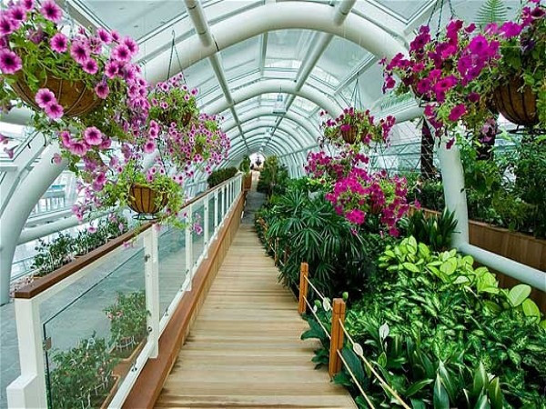 8. Sân bay quốc tế Incheon (Hàn Quốc) Là một trong những sân bay bận rộn nhất thế giới, Incheon cung cấp cho hành khách rất nhiều cơ hội để thư giãn, bao gồm các phòng ngủ cá nhân, một phòng spa, phòng tắm hơi và massage kiểu Thái Lan. Ngoài ra, sân bay này còn chứa một Bảo tàng văn hóa Hàn Quốc, trong đó trưng bày một số tác phẩm về nghệ thuật Phật giáo, ít nhất 7 khu vườn và một tầng quan sát có ghế ngồi thoải mái. Sân bay Incheon được mệnh danh là "sân bay tốt nhất thế giới" tại Giải thưởng Sân bay Quốc tế dựa trên sự bình chọn của hành khách.