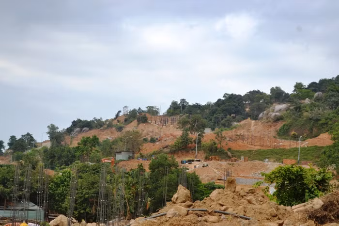 Cảm ơn Thủ tướng chỉ đạo xử lý kiến nghị cứu Sơn Trà khỏi bị “băm nát" ảnh 3 Cảm ơn Thủ tướng chỉ đạo xử lý kiến nghị cứu Sơn Trà khỏi bị “băm nát" ảnh 3