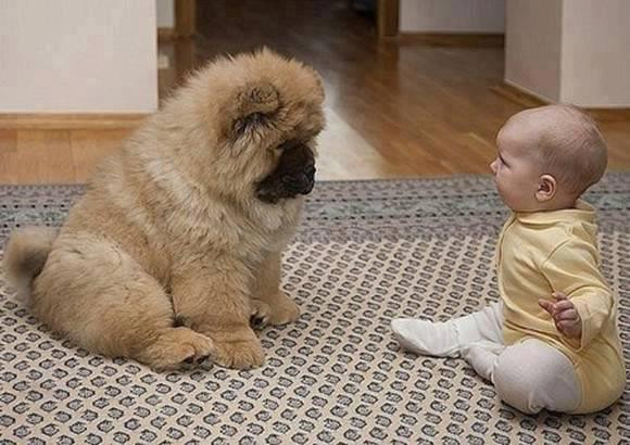 Này!đừng có dọa tao thế chứ. Tao mà có khóc nhè thì còn lâu mới dỗ được nhé. Đừng có thách nhà giàu húp tương. Này!đừng có dọa tao thế chứ. Tao mà có khóc nhè thì còn lâu mới dỗ được nhé. Đừng có thách nhà giàu húp tương.