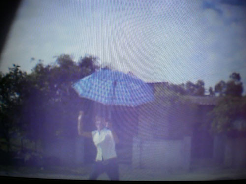 Các "nàng thơ" vội vàng chạy tới khi thoáng thấy bóng khách Các