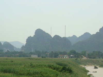 Rộ tin đồn lâm tặc trúng cây trăm tỷ ảnh 1 Rộ tin đồn lâm tặc trúng cây trăm tỷ, Tin tức trong ngày, cay tram ti, lam tac, pha rung, cay hue, vuon quoc gia phong nha ke bang, kiem lam, bao, tin tuc, tin hot, tin hay