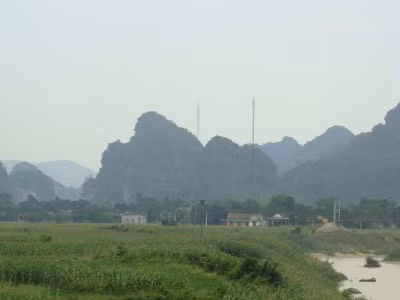 Rộ tin đồn lâm tặc trúng cây trăm tỷ, Tin tức trong ngày, cay tram ti, lam tac, pha rung, cay hue, vuon quoc gia phong nha ke bang, kiem lam, bao, tin tuc, tin hot, tin hay