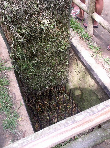 Một số loại chông khác