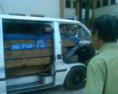 Bắn súng, rượt xe gỗ lậu như phim hành động, Tin tức trong ngày, go lau, lam tac, kiem lam, ruot duoi, go quy, ruot duoi, xe go lau, nguy trang, chong tra, bao, tin tuc, tin hot, tin hay