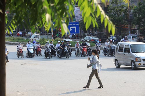 Bóng râm được coi là "vị cứu tinh" khi dừng đèn đỏ Bóng râm được coi là "vị cứu tinh" khi dừng đèn đỏ