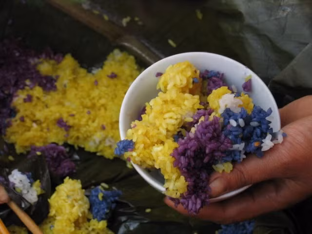 Xôi ngũ sắc làm từ nếp Tú Lệ (Nghĩa Lộ - Yên Bái). Các loại màu sắc trên xôi được khéo léo chế ra từ lá cây rừng. Xôi ngũ sắc làm từ nếp Tú Lệ (Nghĩa Lộ - Yên Bái). Các loại màu sắc trên xôi được khéo léo chế ra từ lá cây rừng.