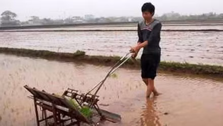 Máy cấy “xách tay” của anh nông dân Trần Đại Nghĩa – Thái Bình. (Ảnh: vnexpress.net) Máy cấy “xách tay” của anh nông dân Trần Đại Nghĩa – Thái Bình. (Ảnh: vnexpress.net)
