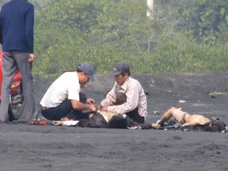 Nạn nhân của 1 vụ nổ súng hoa cải ở Quảng Ninh. Nạn nhân của 1 vụ nổ súng hoa cải ở Quảng Ninh.