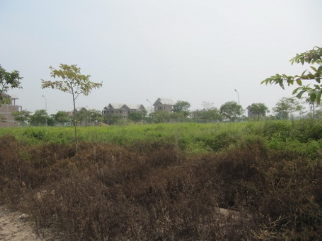 Hầu hết mặt bằng đã trở thành bãi cỏ hoang rậm rạp