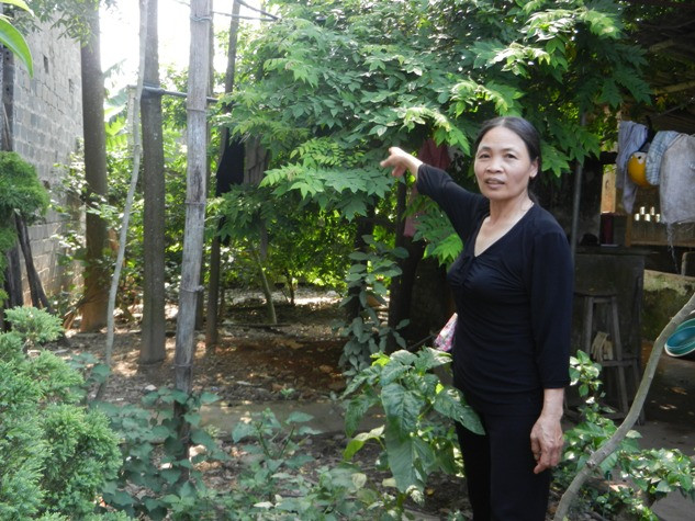 Bà Nguyễn Thị Hà chỉ phần đất bị lấn chiếm... Bà Nguyễn Thị Hà chỉ phần đất bị lấn chiếm...