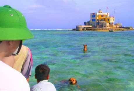 Tấm ảnh những chú chó ở Trường Sa quyến luyến với người chiến sĩ hoàn thành nghĩa vụ quân sự rời đảo trở về đất liền của cựu chiến binh Lê Bá Dương Tấm ảnh những chú chó ở Trường Sa quyến luyến với người chiến sĩ hoàn thành nghĩa vụ quân sự rời đảo trở về đất liền của cựu chiến binh Lê Bá Dương