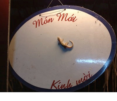 Món này có ai dám thử 1 lần không! Món này có ai dám thử 1 lần không!