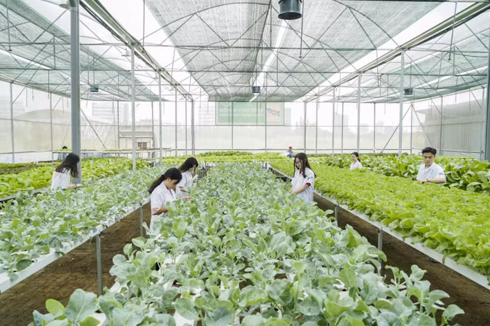 Giáo sư Trần Hồng Quân kiến nghị, nên sáp nhập khối đại học với khoa học về một Bộ quản lý chứ không tách bạch như hiện nay (ảnh minh họa, nguồn: TDTU) Giáo sư Trần Hồng Quân kiến nghị, nên sáp nhập khối đại học với khoa học về một Bộ quản lý chứ không tách bạch như hiện nay (ảnh minh họa, nguồn: TDTU)