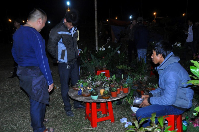 Du khách du xuân ở chợ Viềng ngày đầu năm để chọn mua những loại cây cảnh mini, cây ăn quả… về trồng với mong muốn cầu may mắn trong năm mới.