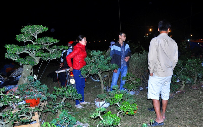 Người mua kẻ bán ở chợ Viềng thường không nói thách với nhau về giá. Kể cả người mua cây và người bán cây đều cầu may.