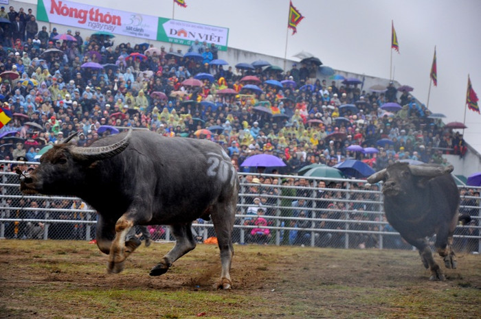 Những màn rượt đuổi sau khi đối phương chịu thua bỏ chạy.