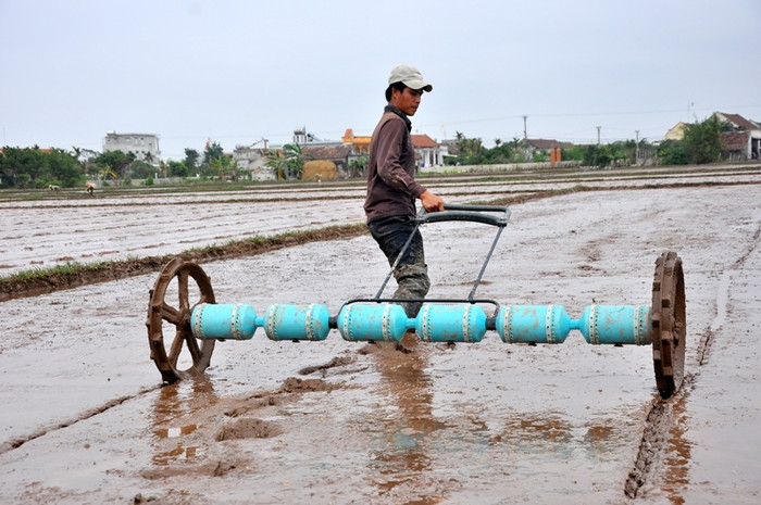 Theo kinh nghiệm của nhiều người nông dân trong vùng: Việc xạ lúa sẽ đạt được kết quả cao hơn so với phương pháp cấy mạ truyền thống xưa. Theo kinh nghiệm của nhiều người nông dân trong vùng: Việc xạ lúa sẽ đạt được kết quả cao hơn so với phương pháp cấy mạ truyền thống xưa.
