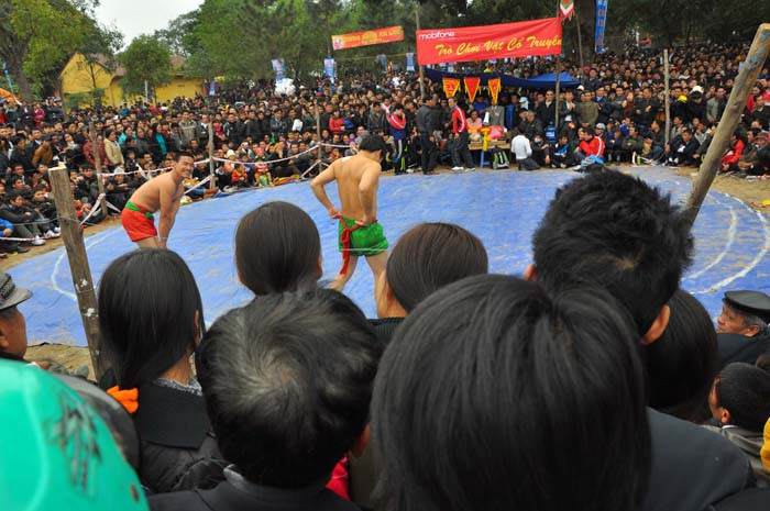 Hội vật cổ truyền trật kín người xem xung quang võ đài Hội vật cổ truyền trật kín người xem xung quang võ đài