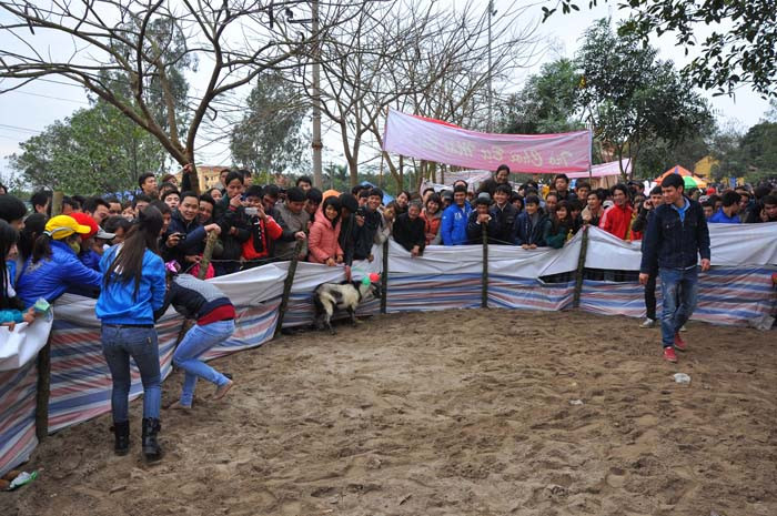 Độc đáo với trò chơi” bịt mắt bắt dê” thật, người xem cũng người chơi cũng tạo ra những tiếng cười vui vẻ. Độc đáo với trò chơi” bịt mắt bắt dê” thật, người xem cũng người chơi cũng tạo ra những tiếng cười vui vẻ.