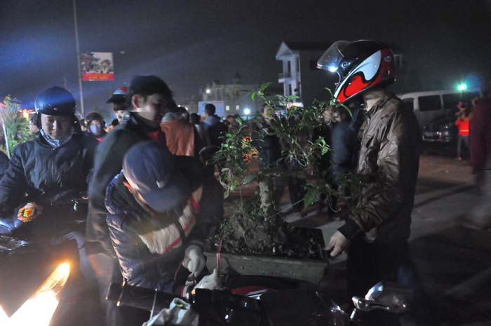 Với mỗi người đi chợ Viềng họ đều cố gắng tìm mua một cây ưng ý mình để cầu sự may mắn cho năm mới Với mỗi người đi chợ Viềng họ đều cố gắng tìm mua một cây ưng ý mình để cầu sự may mắn cho năm mới