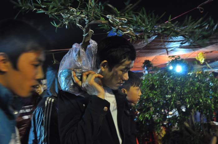 Với mỗi người đi chợ Viềng họ đều cố gắng tìm mua một cây ưng ý mình để cầu sự may mắn cho năm mới Với mỗi người đi chợ Viềng họ đều cố gắng tìm mua một cây ưng ý mình để cầu sự may mắn cho năm mới