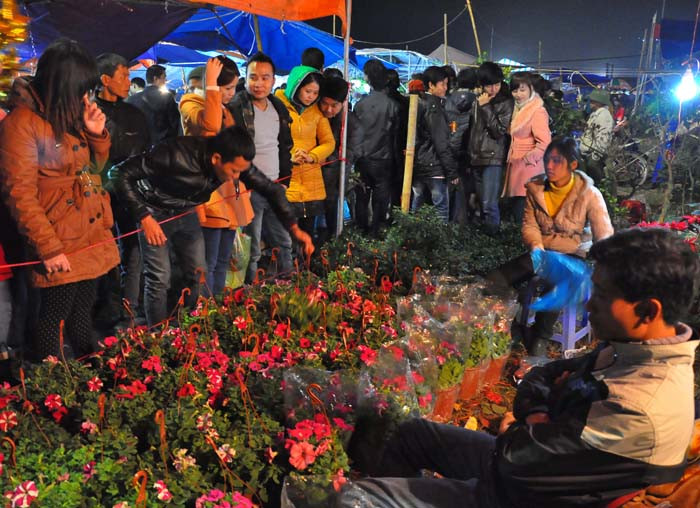 Mỗi chậu hoa dạ yến thảo có giá 60.000 đồng. Mỗi chậu hoa dạ yến thảo có giá 60.000 đồng.