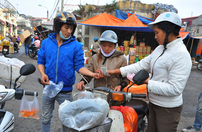 Cá chép đỏ được bán với giá cao 20.000 – 30.000 đồng một con Cá chép đỏ được bán với giá cao 20.000 – 30.000 đồng một con